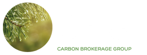 CBG - website logo